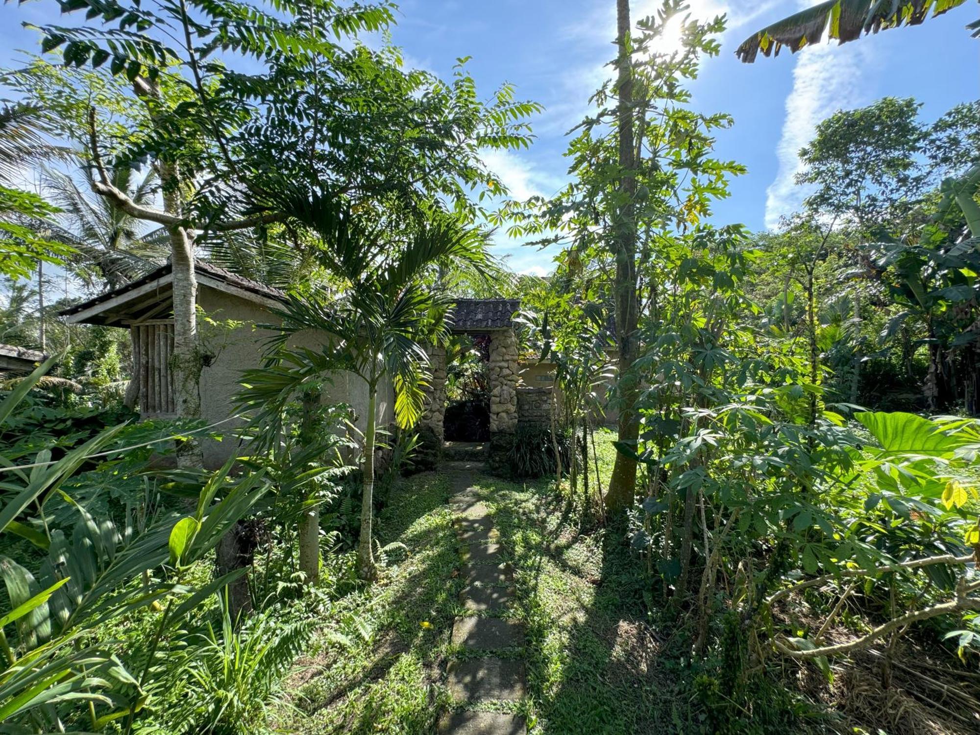 Dewa Jati Cottages パヤンガン エクステリア 写真