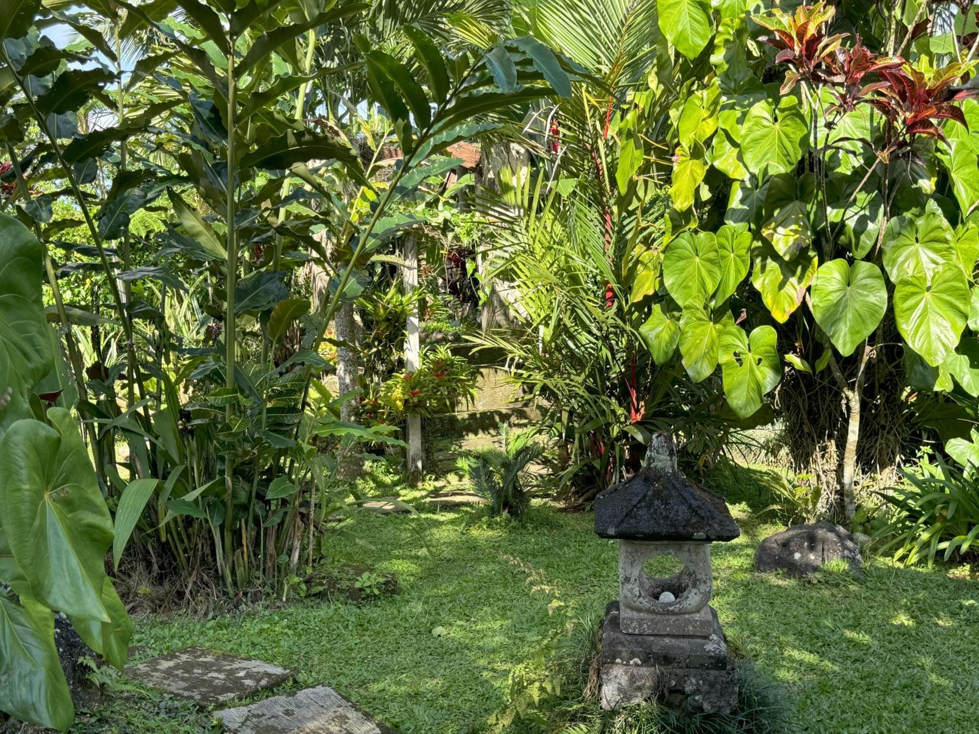 Dewa Jati Cottages パヤンガン エクステリア 写真