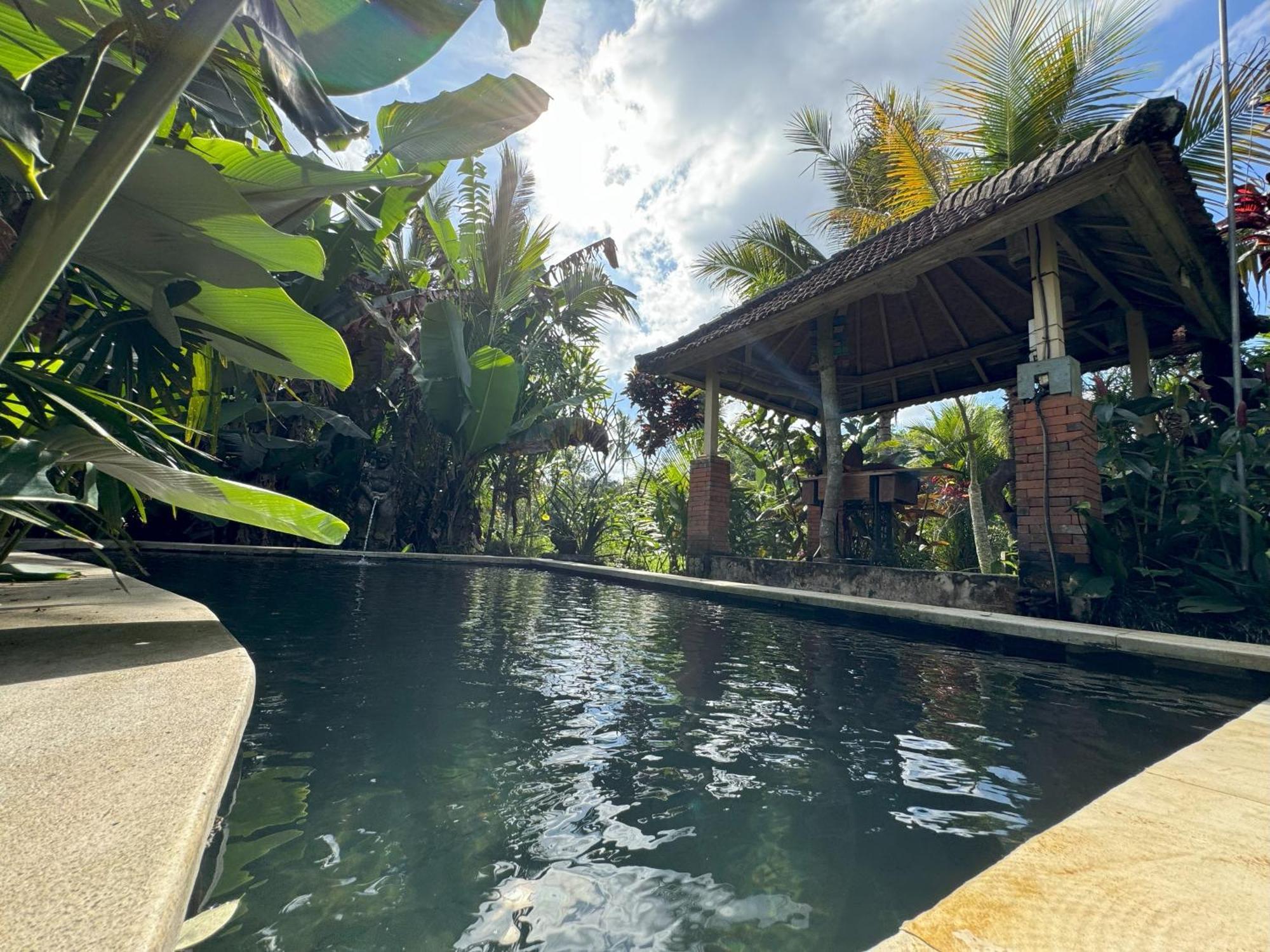Dewa Jati Cottages パヤンガン エクステリア 写真
