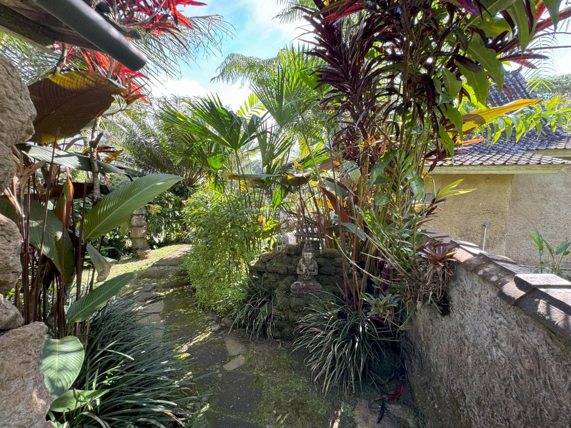 Dewa Jati Cottages パヤンガン エクステリア 写真