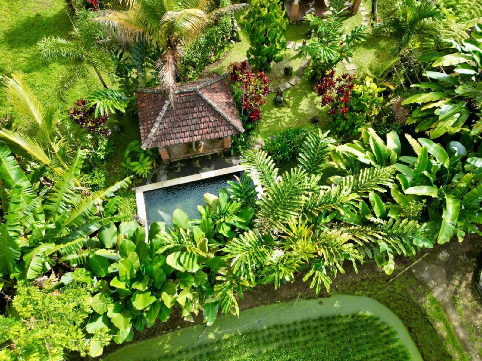 Dewa Jati Cottages パヤンガン エクステリア 写真